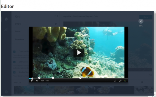 Kaltura Quiz Preview