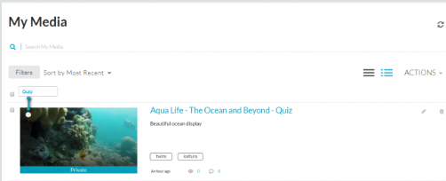 Kaltura Edit Quiz in Preview Mode