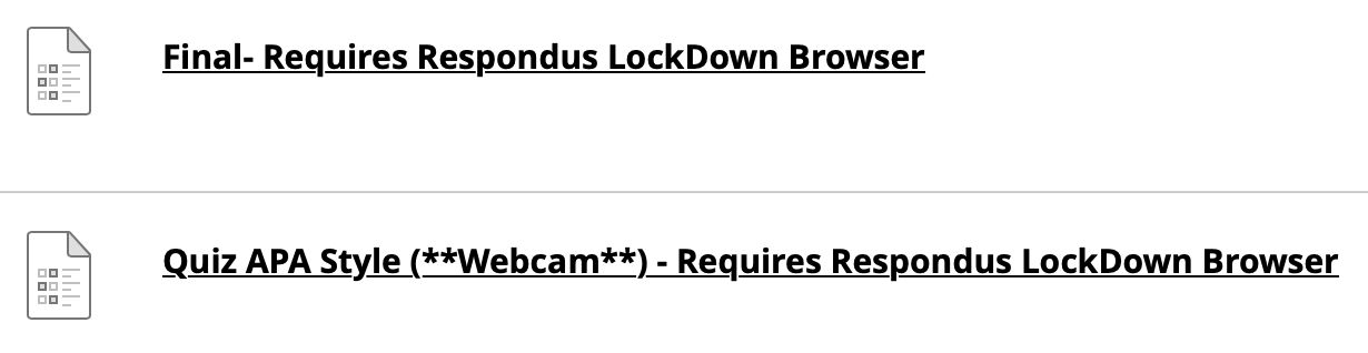Respondus LockDown Browser options