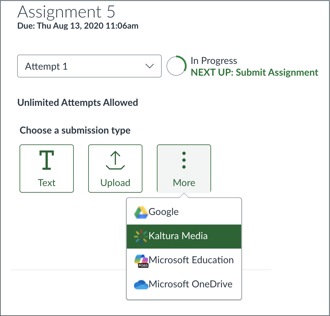 Kaltura for Assignments